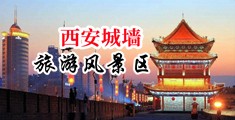 免费l看操比的网站中国陕西-西安城墙旅游风景区